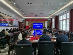 被告某生物无限公司许诺向被告王某分三期付清